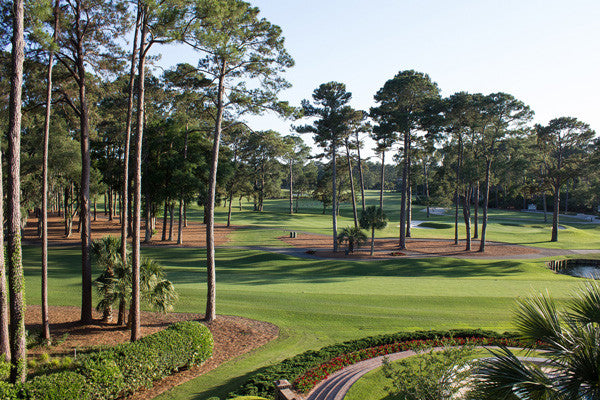 The Top 5 Best Hidden Gem Golf Courses in America